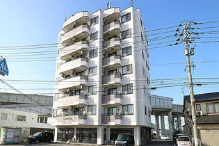 ハビタの画像