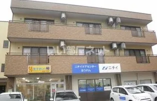 ら ほうれんの画像