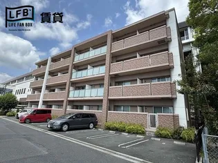 フォルトゥーナ タワラヤの画像