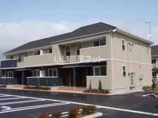 ミニョン コリーヌ Bの画像