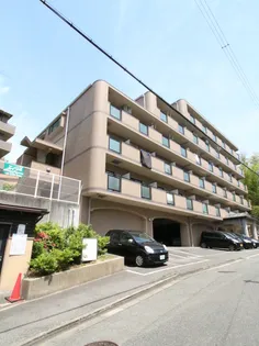 サンライズIIIの画像