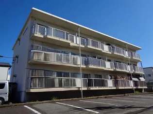 静岡県静岡市清水区有東坂2【マンション】の外観