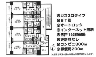 クレール・ド・モリュ武蔵小杉【6階】の間取り