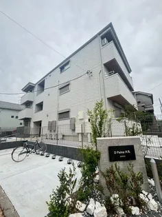 D PAINA大丸の画像