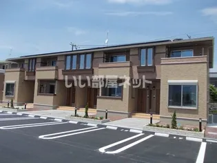 シンビジュウムBの画像