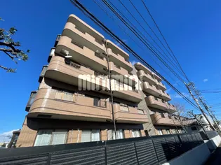 ヒルトークの画像