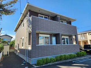 サニー プレインBの画像