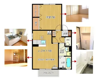 ウィルベリー・II棟【2階】の間取り