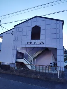 パープルエールの画像