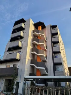 シュガー レイの画像