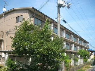 メゾンド パストラール【3階】の外観