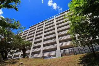 ライオンズ城岳南の画像
