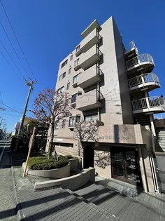 神奈川県平塚市東中原2【マンション】の外観