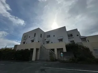 アンダンテの画像