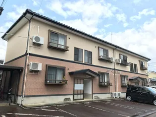 カムールヒロBの画像