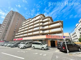 ヴィラスリースター住之江【4階】の外観