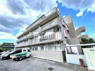 ドリーミー静の画像