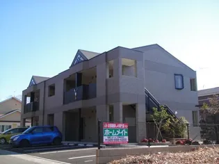 ステイゴールドの画像