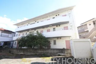 シャトレーITOの画像