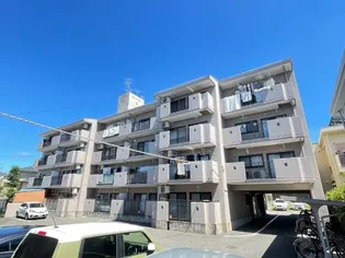 サンフラン楠の画像