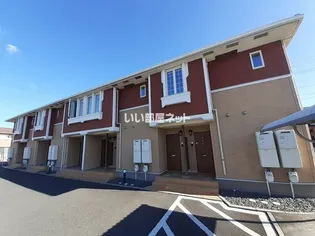 エテルノフェリーチェ グレースの画像