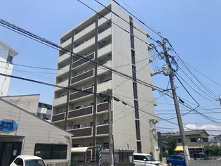 トレステーラ リデアル上人の画像