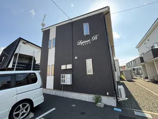 ルピナスの画像