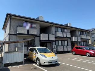 ボヌールNの画像