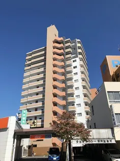 ラコー13の画像
