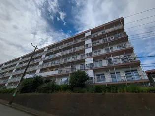 白幡台住宅4号棟【2階】の外観