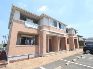 ソル ヴィヴァーチェの画像