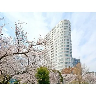 青山ザ・タワー【22階】の外観