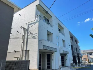 フラン ブルームの画像