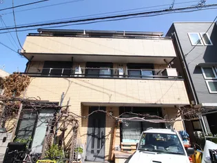 ムモリヨの画像