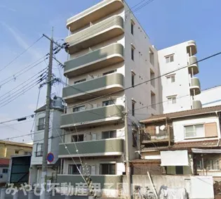 ジュネス バンブーの画像