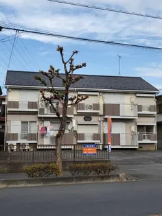 カトレアハイツの画像