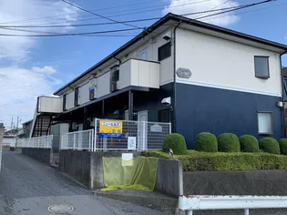 ニューヒルズの画像