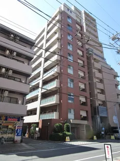 PRIMAL MACHIDAの画像