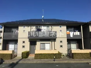 セルリアンコート Aの画像
