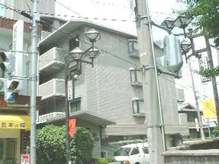 ウィルコートの画像