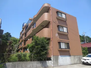 サンフレッチェ15の画像