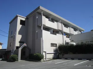 ファミールNの画像