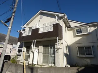 エイトスターティーの画像