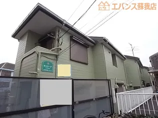 カッシーナの画像