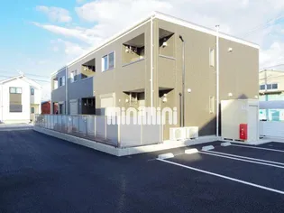 オリーヴの画像