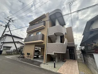 アイリスの画像