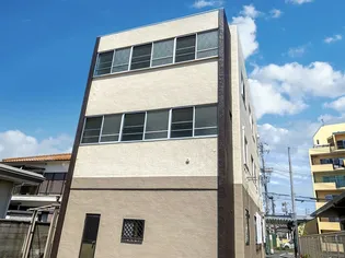 ミネルヴァ二色の画像