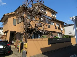 プチジョウジの画像