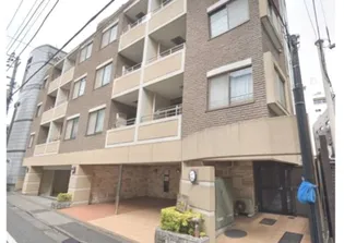 セーナ中野の画像