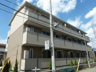 カメリアの画像